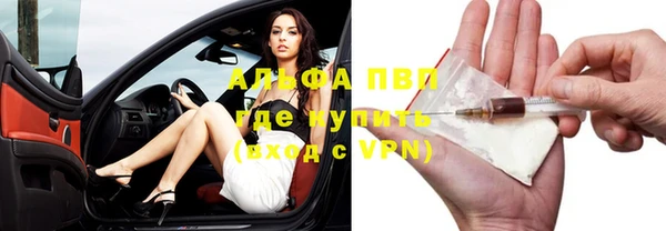 твердый Арсеньев