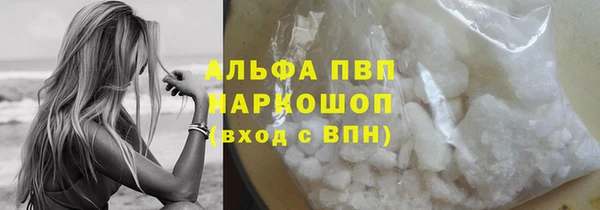 твердый Арсеньев