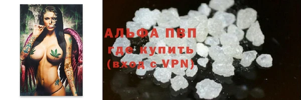 твердый Арсеньев