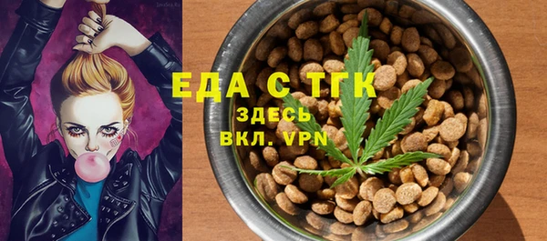 твердый Арсеньев