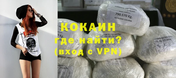 твердый Арсеньев