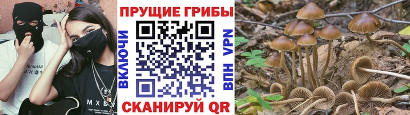 Галлюциногенные грибы Magic Shrooms  Островной 
